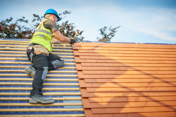 Best Skylight Installation and Repair  in Upton, WY